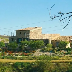 Pinyol La Cirera